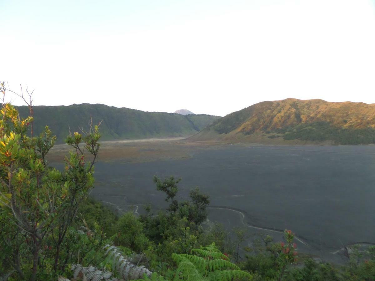 Bromo Permai 1 Hotel Luaran gambar