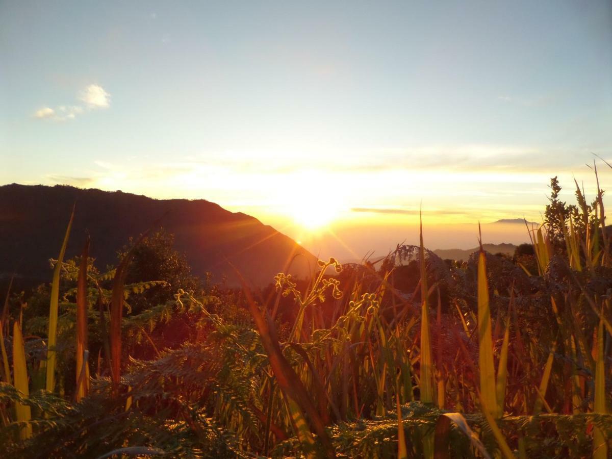 Bromo Permai 1 Hotel Luaran gambar